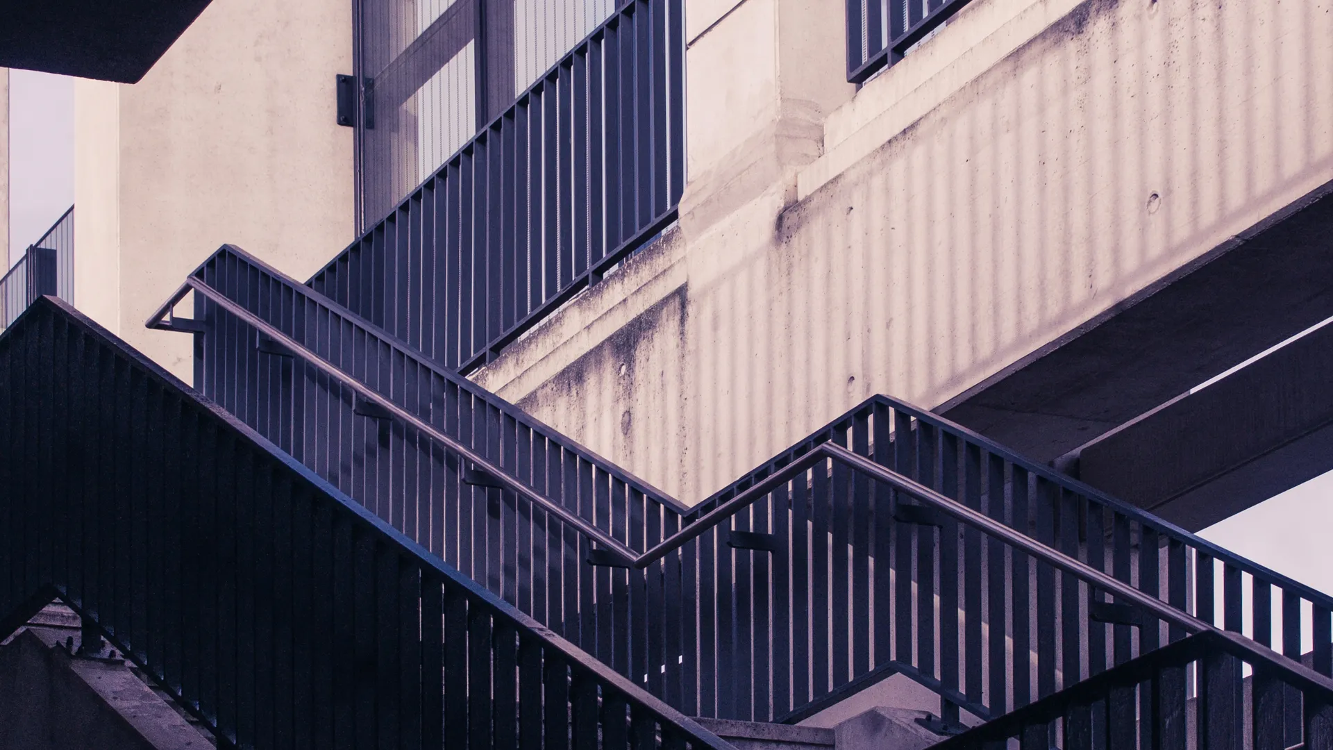 BlackSwanAI - KI-gestützte Ausschreibungsautomatisierung und Tender Management Software für den deutschen Mittelstand